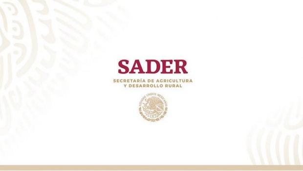 Logo SADER
