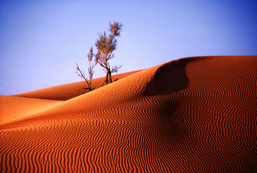 Rub' Al Khali, Emiratos Árabes Unidos