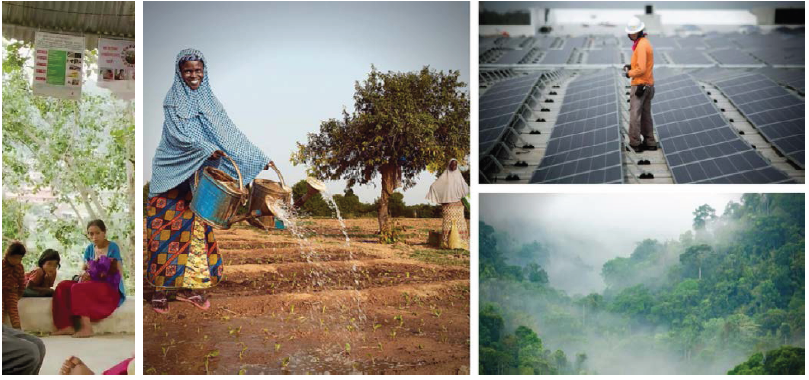 Algunos ejemplos de acciones relativas al cambio climático realizadas por el Grupo Banco Mundial desde la #COP21 en París