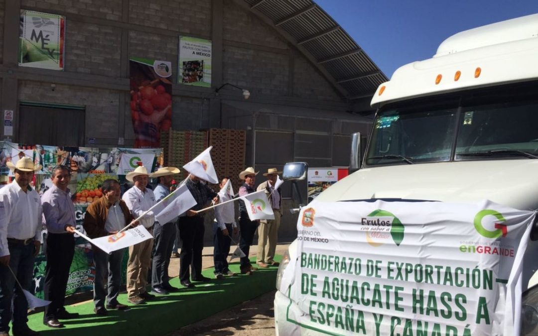 Estado de México inicia exportación de aguacate a España y Canadá