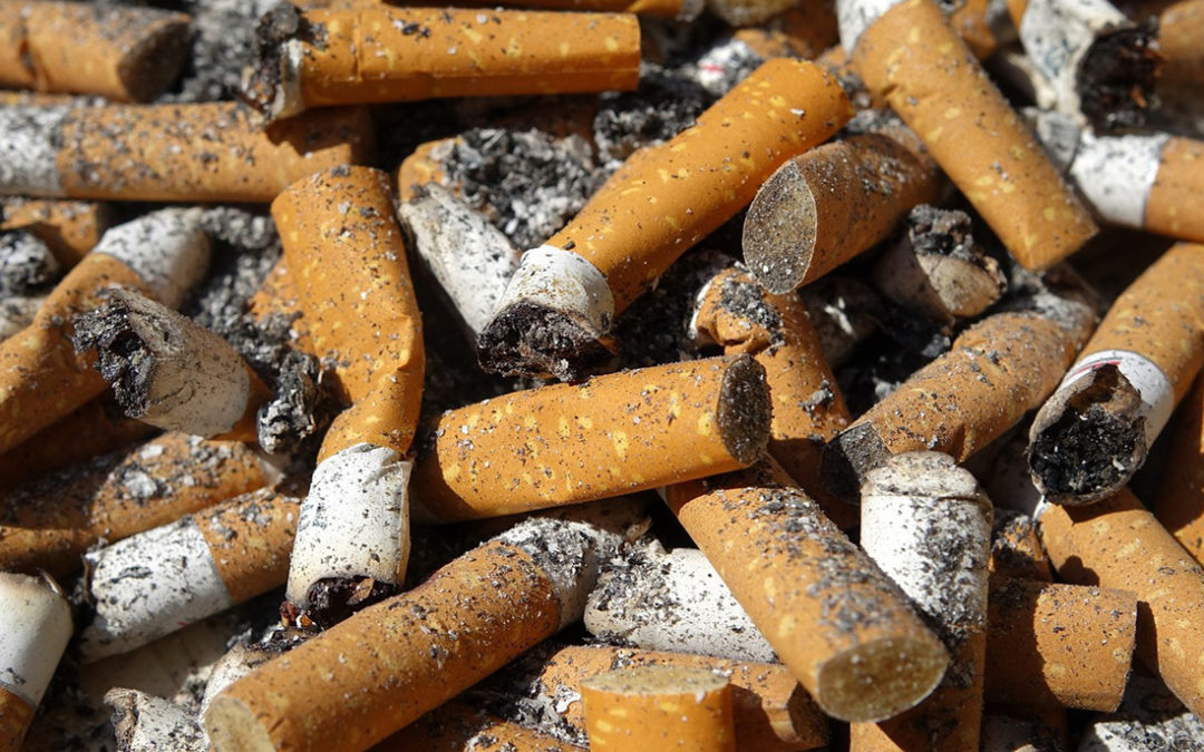 Cigarro: más que dañar tu cuerpo, está dañando tu entorno