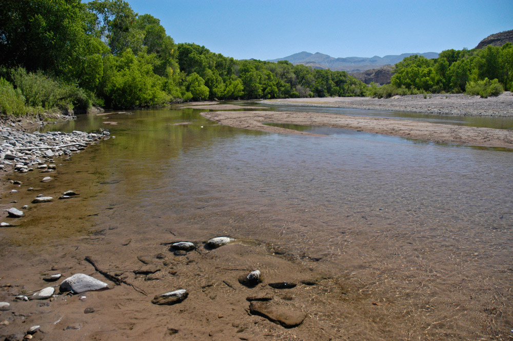 Bacteria mata a dos hermanos cuando se bañaban en un río en Sonora