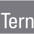 Logo TERNIUM