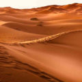 Parque solar Sahara