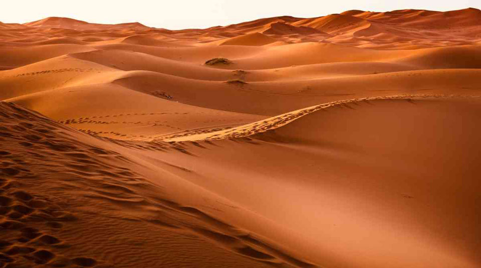 El Desierto Del Sahara Un Parque Solar Gigante ¿qué Pasa Si