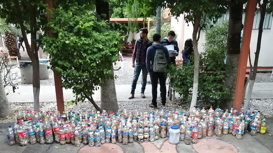 Todas en el Campus Universitario. Alumnos de Ingeniería Unison recolectan un millón de colillas de cigarro