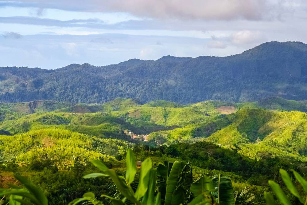Madagascar plantará 60 millones de árboles, la mayor reforestación de su historia