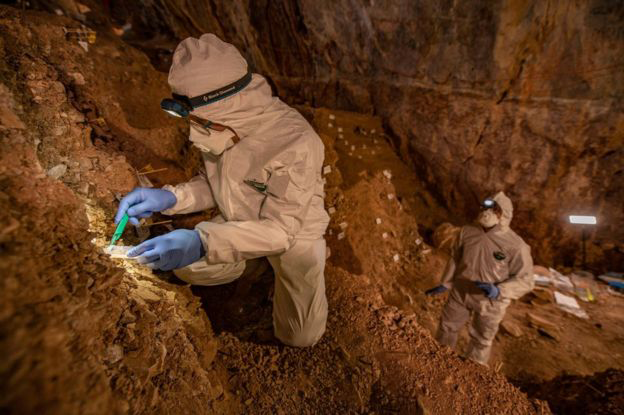 México: Descubrimientos inesperados en la cueva Chiquihuite pueden duplicar el tiempo en que las personas vivieron en el continente americano.