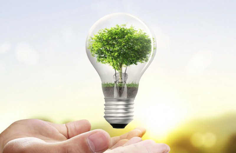 ¿Cómo puedo ahorrar energía y ayudar al medio ambiente?