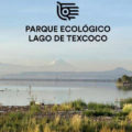 Parque ecológico Lago de Texcoco