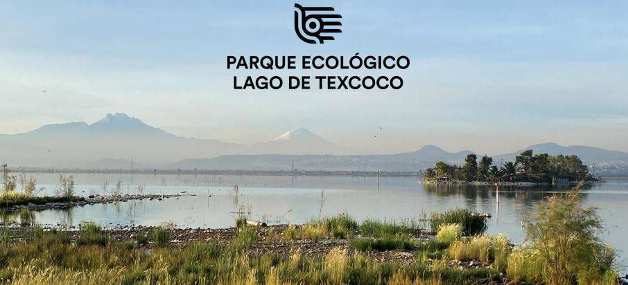 Parque Ecológico Lago de Texcoco, un ícono de un nuevo México. Presentan avances y alcances del proyecto Parque Ecológico Lago de Texcoco.