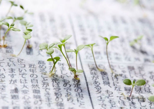 The Mainichi: El periódico japonés que puedes plantar