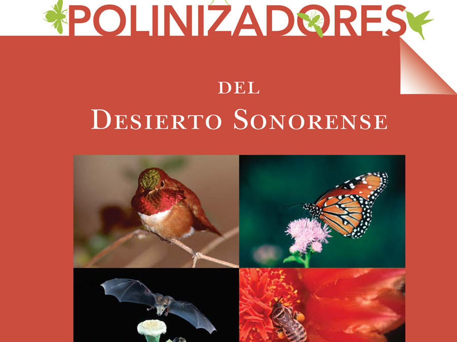 Polinizadores del Desierto Sonorense