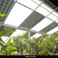 paneles solares agricultura