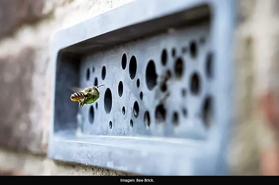 Bee Brick House, un ladrillo diseñado para ser un refugio seguro para las abejas en las ciudades