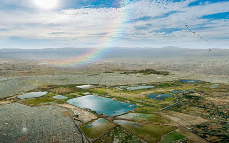 Se convertirán 12 mil hectáreas de humedales en reserva ecológica:  Los trabajos del proyecto  Lago de Texcoco, presentan una avance del 65 %