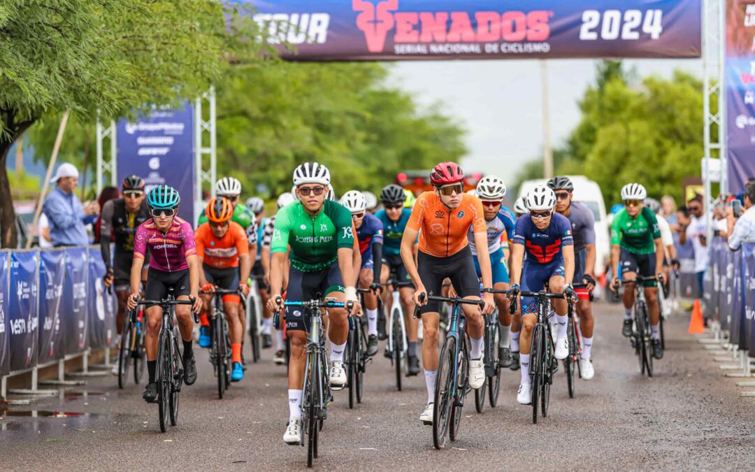 TOUR VENADOS 2024