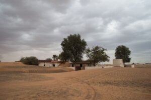 Arquitectura Bioclimática en Sonora: Eficiencia Energética