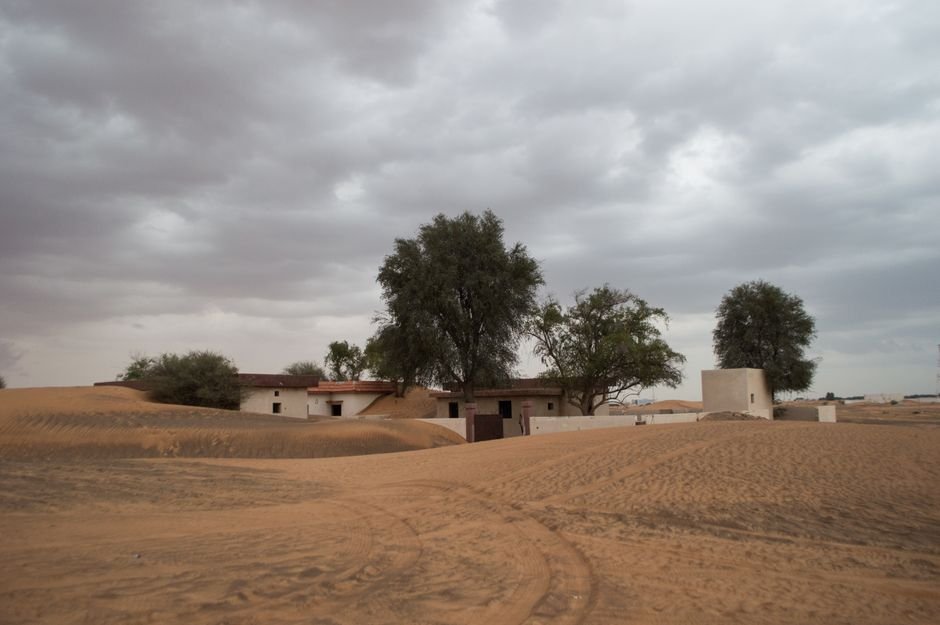 Arquitectura Bioclimática en Sonora: Eficiencia Energética