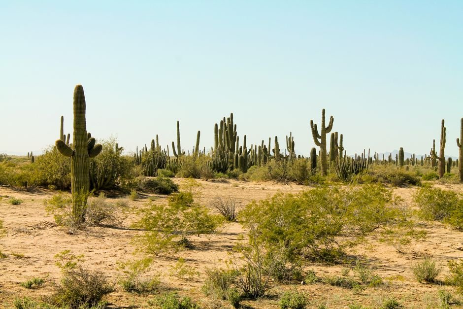 construction site Sonora desert