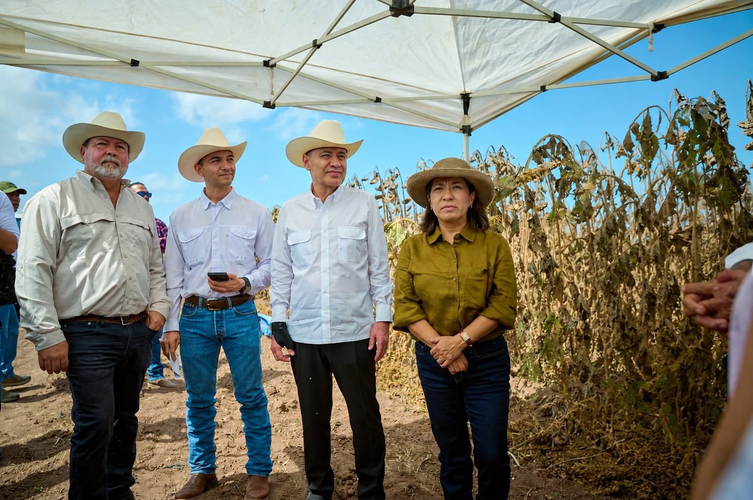 Autoridades estatales durante un recorrido por campos de cultivo en Sonora