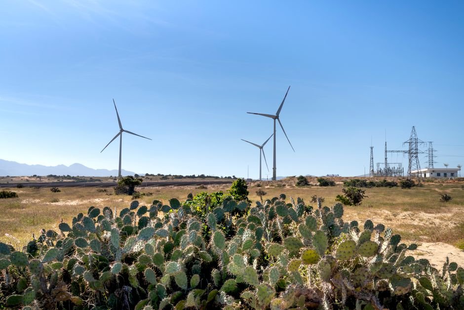 Hidrógeno verde en Sonora transformará la construcción