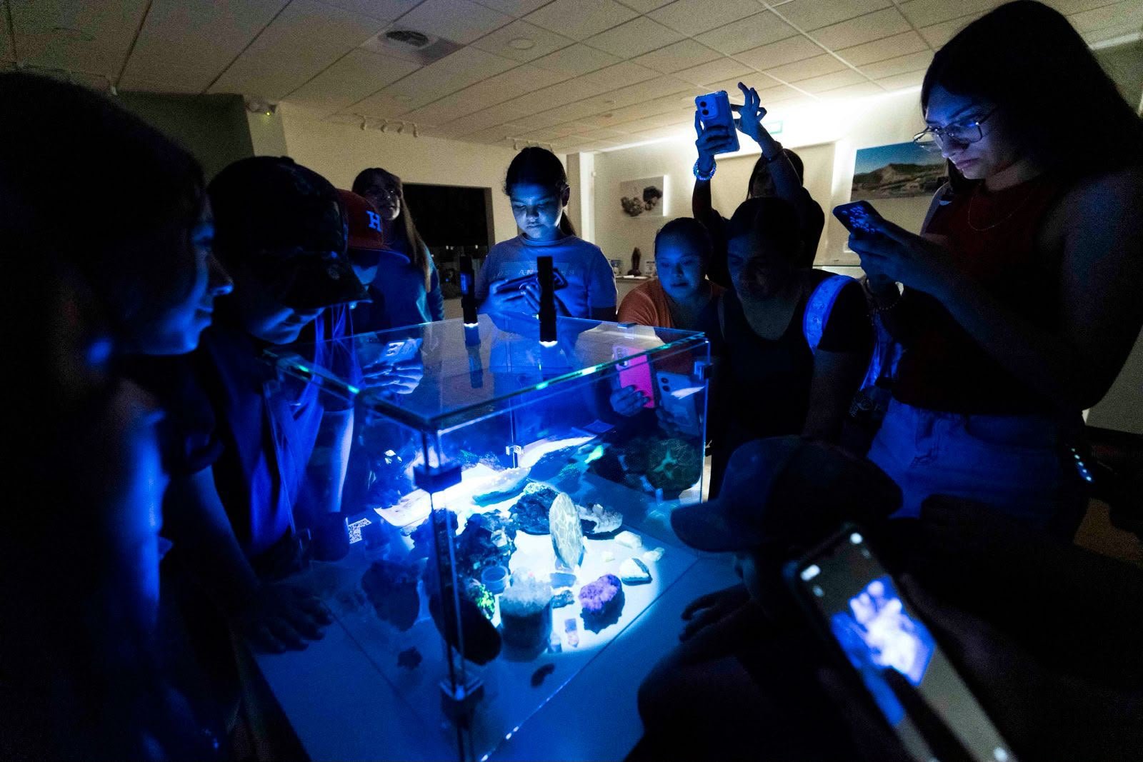 Grupo de niñas y niños observa minerales fluorescentes bajo luz ultravioleta en una vitrina a oscuras