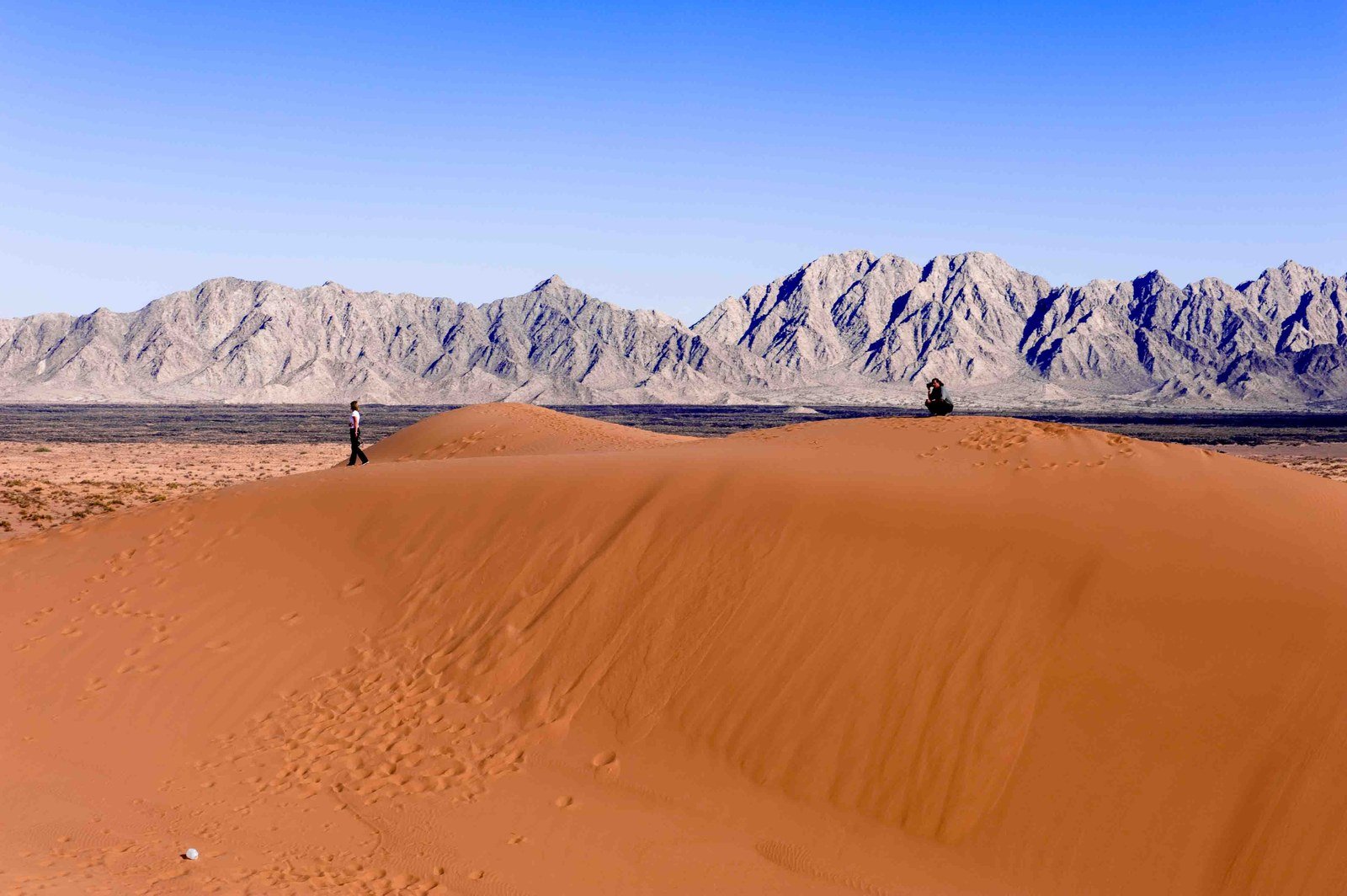 Dunas de arena del Gran Desierto de Altar con la sierra al fondo, en la Reserva de la Biosfera El Pinacate, Sonora